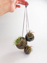 Load image into Gallery viewer, Small Kurinuki Ceramic Air Plant Holder – Hand-Carved Mini Planter with Included Air Plant
