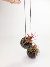 Load image into Gallery viewer, Small Kurinuki Ceramic Air Plant Holder – Hand-Carved Mini Planter with Included Air Plant