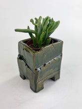 Load image into Gallery viewer, Small Planters
