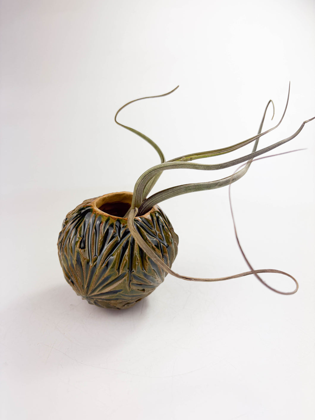 Large Ceramic Air Plant Orb – Sculptural Handmade Holder with Air Plant