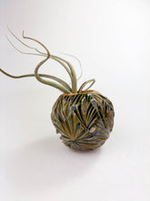 Load image into Gallery viewer, Large Ceramic Air Plant Orb – Sculptural Handmade Holder with Air Plant
