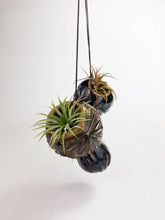 Load image into Gallery viewer, Large Kurinuki Carved Ceramic Air Plant Holder – Includes Air Plant | Handcrafted Textured Pot
