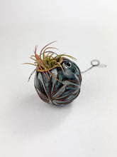 Load image into Gallery viewer, Medium Kurinuki Ceramic Air Plant Holder – Hand-Carved Textured Planter with Included Air Plant

