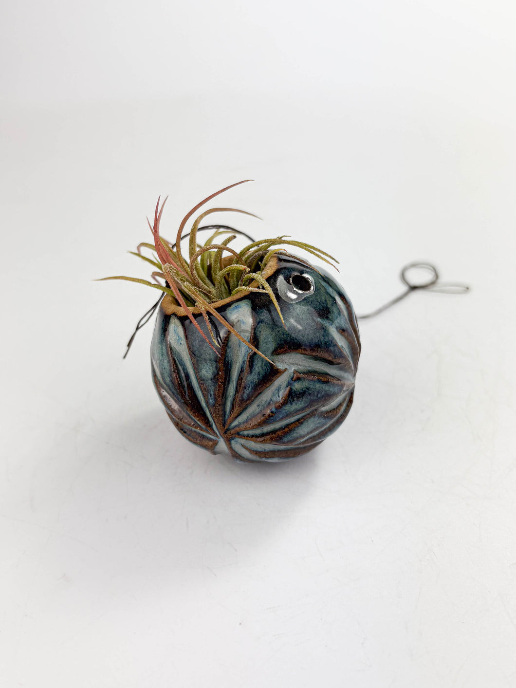 Medium Kurinuki Ceramic Air Plant Holder – Hand-Carved Textured Planter with Included Air Plant