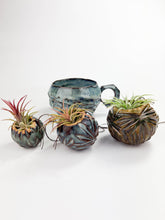 Load image into Gallery viewer, Large Kurinuki Carved Ceramic Air Plant Holder – Includes Air Plant | Handcrafted Textured Pot
